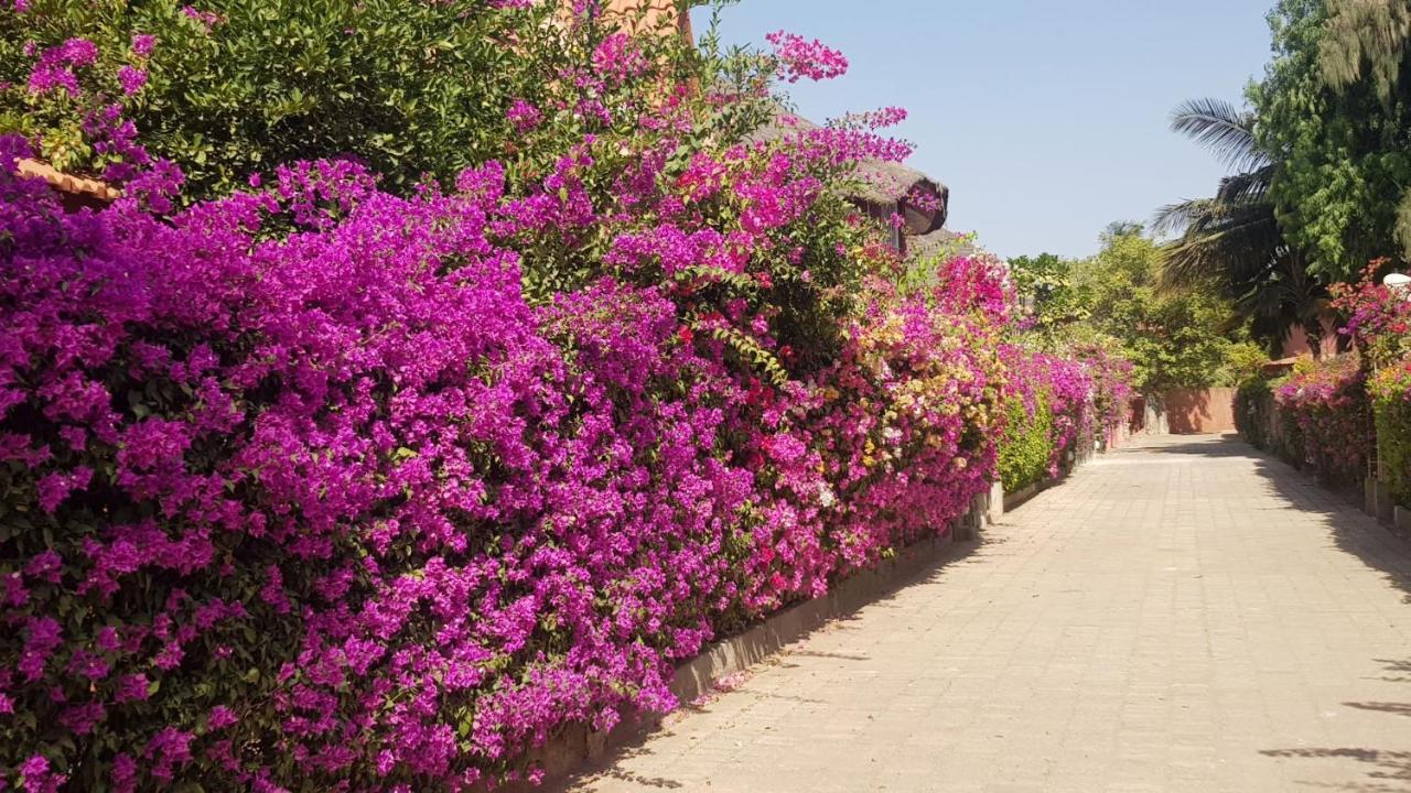 Villa Met Prive Zwembad In Residence Safari Village 살리 포르투달 외부 사진