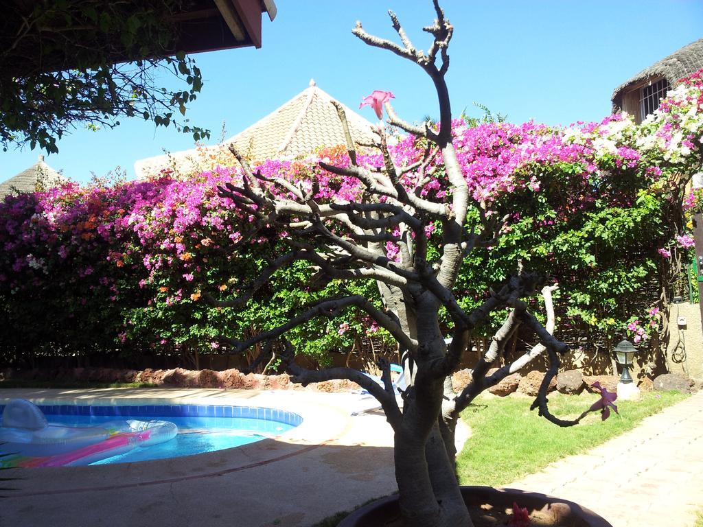 Villa Met Prive Zwembad In Residence Safari Village 살리 포르투달 외부 사진