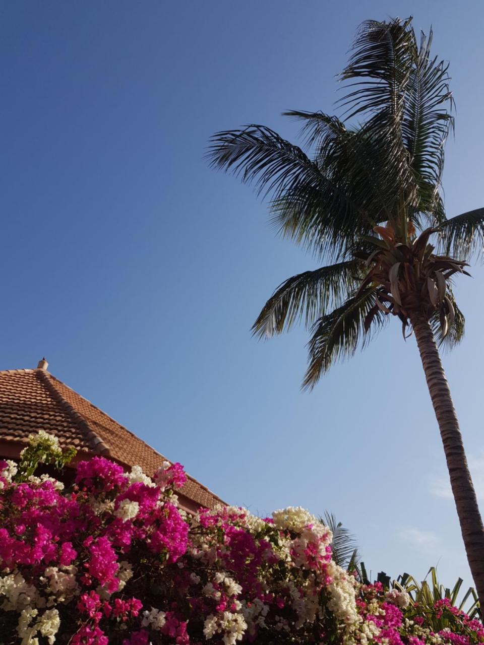Villa Met Prive Zwembad In Residence Safari Village 살리 포르투달 외부 사진